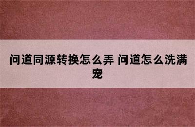 问道同源转换怎么弄 问道怎么洗满宠